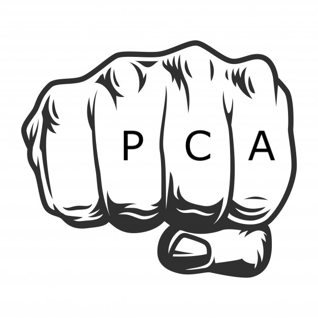 PCA for Principal Component Analysis